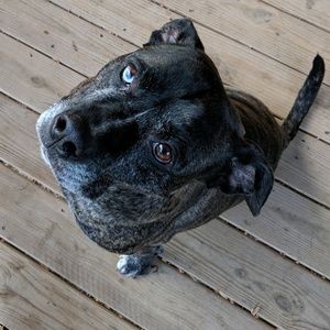 Meet your Posher, Jasmin